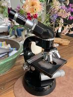 microscoop wetzlar, Ophalen of Verzenden, Gebruikt, Minder dan 400x, Biologische microscoop
