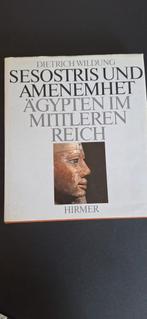 Sesostris und Amenemhet: Ägypten im Mittleren Reich, Ophalen of Verzenden, Gelezen, Overige onderwerpen, Dietrich Wildung