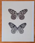 Poster met vlinders/vlinder, Huis en Inrichting, Minder dan 50 cm, Nieuw, Ophalen of Verzenden, Foto of Poster