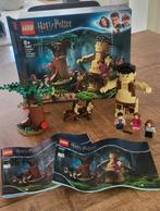 LEGO Harry Potter 75967. Forbidden Forest. Compleet!, Ophalen of Verzenden, Zo goed als nieuw
