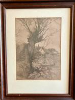 Landschap met grillig gevormde bomen, Ophalen