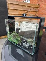 Super fish 80 inc., Dieren en Toebehoren, Ophalen, Leeg aquarium