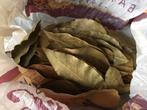 Laurierblad, nootmuskaat, kaneelstokjes. Knutselen of koken?, Ophalen of Verzenden, Nieuw, Materiaal