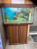 Juwel aquarium 140L met onderkast, Ophalen, Zo goed als nieuw, Leeg aquarium