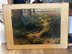 Op de heide, Antiek en Kunst, Antiek | Schoolplaten, Ophalen of Verzenden, Natuur en Biologie