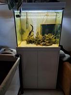 Compleet aquatlantis aquarium., Ophalen, Zo goed als nieuw, Leeg aquarium