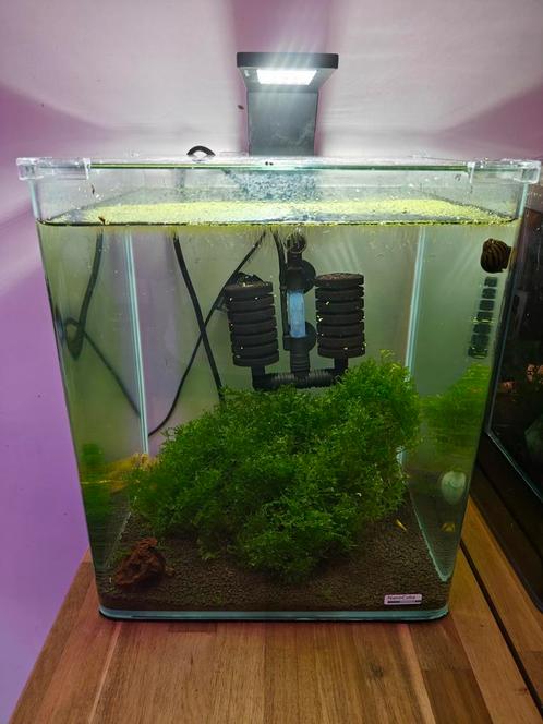 Dennerle 30 Liter inclusief Gele garnalen, Dieren en Toebehoren, Vissen | Aquaria en Toebehoren, Zo goed als nieuw, Leeg aquarium