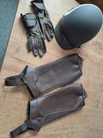 dames ruiterkleding nieuw, Dieren en Toebehoren, Paardrijkleding, Ophalen, Nieuw, Dames, Recreatie