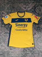 Voetbalshirt Hellas Verona 23/24 - Cyril Ngonge, Shirt, Zo goed als nieuw, Maat L, Verzenden