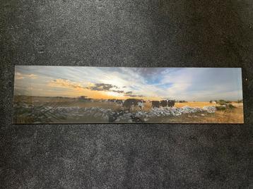 Panoramafoto Landschap met koeien op plexiglas – 120 x 30 cm beschikbaar voor biedingen