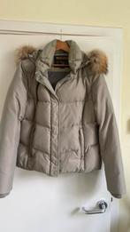 Woolrich  merk dons jas dames, Ophalen of Verzenden, Zo goed als nieuw, Maat 38/40 (M)