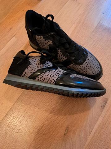 SNEAKERS NIEUW MAAT 36 EKSEPT NIEUWPRIJS 49.95 EURO  beschikbaar voor biedingen