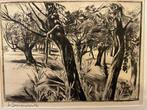 Theo Beerendonk (1905-1979) ets knotwilgen, Antiek en Kunst, Ophalen of Verzenden