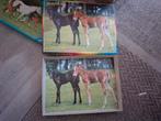 Leuke puzzel, Ophalen, Meer dan 50 stukjes, Zo goed als nieuw, 6 jaar of ouder