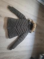 Mooie winterjas van cars  Zo goed als nieuw, Kleding | Dames, Jassen | Winter, Groen, Cars, Maat 38/40 (M), Ophalen of Verzenden