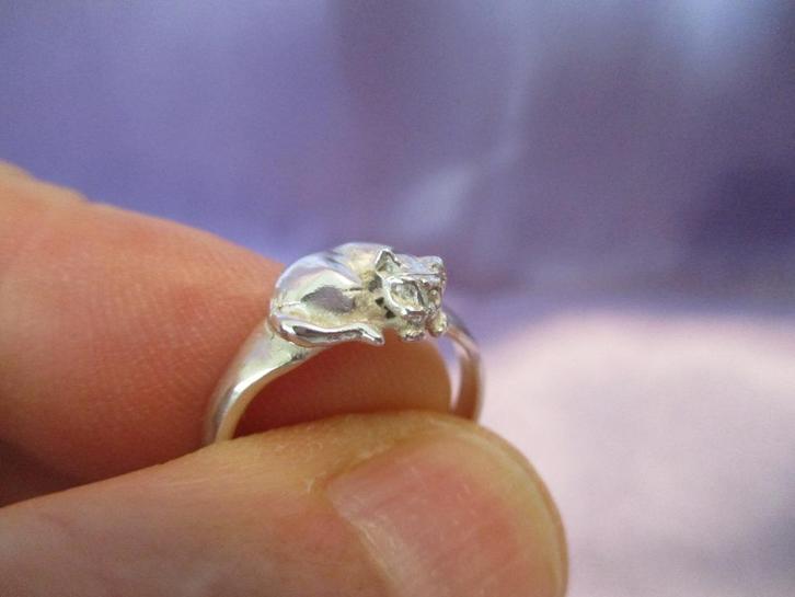 Zilveren ring met slapend katje Ø 16,7 mm, Sieraden, Tassen en Uiterlijk, Ringen, Nieuw, Dame, Kleiner dan 17, Zilver, Zilver