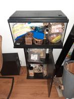 Aquarium op kast voor hamster, Dieren en Toebehoren, Ophalen, Gebruikt, Overige typen, Hamster