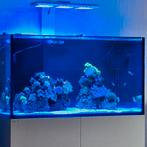 Zeeaquarium verlichting, Dieren en Toebehoren, Vissen | Aquaria en Toebehoren, Ophalen of Verzenden, Zo goed als nieuw, Verlichting of Verwarming