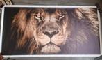Leeuwen poster 80x160 Nieuw, Huis en Inrichting, Woonaccessoires | Schilderijen, Tekeningen en Foto's, Ophalen, Minder dan 50 cm