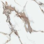 ‼️Nieuw in het Noorden‼️, Ophalen of Verzenden, Nieuw