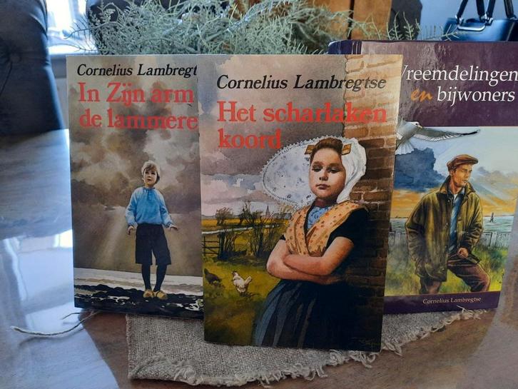 Cornelius Lambregtse - Diverse Christelijke Romans, Boeken, Godsdienst en Theologie, Zo goed als nieuw, Christendom | Katholiek