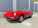 Alfa Romeo 1300 Spider Duetto Junior, Achterwielaandrijving, Zwart, Cabriolet, Bedrijf