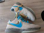 Nike LeBron 20 maat 45, Sport en Fitness, Schaatsen, Overige merken, Gebruikt, Overige typen, Ophalen of Verzenden
