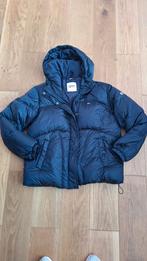 Leuk dinkerblauw jas van Tommy Hilfiger maat M, Kleding | Dames, Jassen | Winter, Maat 38/40 (M), Blauw, Ophalen of Verzenden