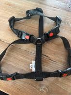 Abaca Y-tuigje XS, Dieren en Toebehoren, Ophalen of Verzenden, Zo goed als nieuw