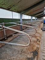 Boxafscheidingen voor dierenstalling, Dieren en Toebehoren, Stalling en Weidegang, Stalling