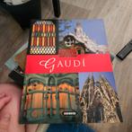 Gaudi - Geniuses of Art, Ophalen of Verzenden, Zo goed als nieuw, Architecten, Susaeta