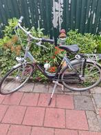 Gazelle Damesfiets - Gebruikt, Versnellingen, Ophalen of Verzenden, Gazelle, 53 tot 56 cm