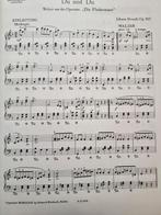 Der Strauss Spielt auf Deel 2 - Accordeon Piano, Muziek en Instrumenten, Bladmuziek, Ophalen of Verzenden, Zo goed als nieuw, Klassiek