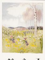 Elsa Beskow mei, Ophalen of Verzenden, 1980 tot heden, Overige thema's