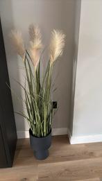Kunstplant in pot, Ophalen, Zo goed als nieuw