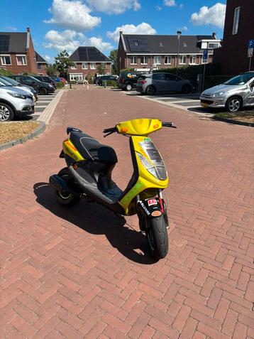 Vivacity uniek (172) beschikbaar voor biedingen