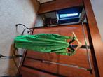 Carnavalskleding, Kleding | Dames, Carnaval, Maat 46/48 (XL) of groter, Ophalen of Verzenden, Onbekend