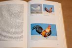 Kippen in Nederland [1997] — Ras & Verzorging, Ophalen of Verzenden, Gelezen, Vogels