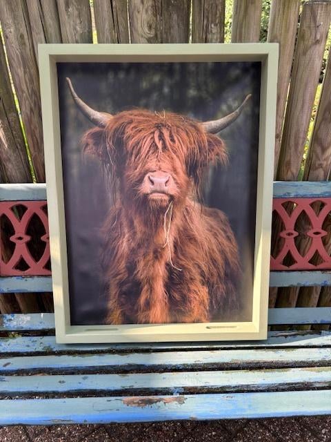 Voorjaarstip! Vogelvoederlijst met Schotse Hooglander, Ophalen, Nieuw