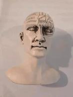 Frenologie Hoofdje, Antiek en Kunst, Ophalen of Verzenden