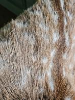 Mars&More dierenvacht XL, Ophalen of Verzenden, Nieuw