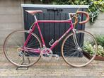 Prachtige gerestaureerde retro racefiets in nieuwstaat., Fietsen en Brommers, Fietsen | Oldtimers, 55 tot 59 cm, Ophalen of Verzenden