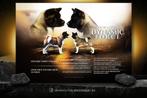 American Akita langhaar (wooly), Dieren en Toebehoren, Honden | Poolhonden, Keeshonden en Oertypen, CDV (hondenziekte), Meerdere