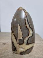 Sculptuur van septaria, Ophalen of Verzenden, Mineraal