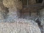 Kleine balen stro, Dieren en Toebehoren, Stalling en Weidegang