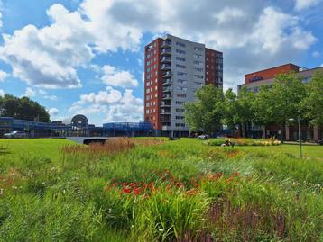NIEUW! Woonruimte te huur Trambaan, Heerenveen beschikbaar voor biedingen
