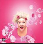 4 tickets Christel de Laat 11 maart, Tickets en Kaartjes