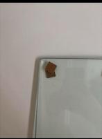 Gehard glas te koop!, Doe-het-zelf en Verbouw, Glas en Ramen, Ophalen, Zo goed als nieuw, Minder dan 80 cm, Glasplaat