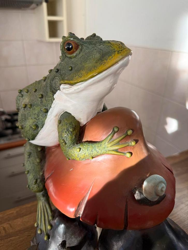 Kikker op paddestoel beeld 55 cm