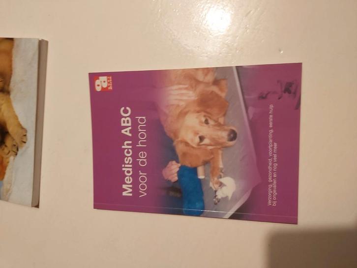 Medisch A B C voor de hond, Boeken, Dieren en Huisdieren, Zo goed als nieuw, Honden, Ophalen of Verzenden